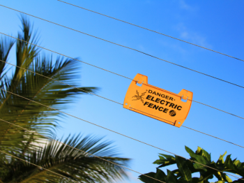 eyJkYXRhIjp7IndvcmtzcGFjZUNoaWxkcmVuIjp7fSwid29ya3NwYWNlSXRlbXMiOlt7ImlzTXVsdGltb3ZlIjpmYWxzZSwiZW50ZXJFbmQiOjUuOSwic3RpY2tlcmlmeVBhdGgiOiIiLCJleGl0U3RhcnQiOjAsInNyYyI6InR0YWl4NzgzODIvaW1hZ2UvOTA5 (24)