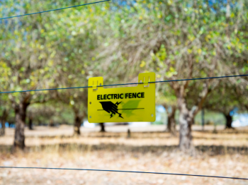 eyJkYXRhIjp7IndvcmtzcGFjZUNoaWxkcmVuIjp7fSwid29ya3NwYWNlSXRlbXMiOlt7ImlzTXVsdGltb3ZlIjpmYWxzZSwiZW50ZXJFbmQiOjUuOSwic3RpY2tlcmlmeVBhdGgiOiIiLCJleGl0U3RhcnQiOjAsInNyYyI6InR0YWl4NzgzODIvaW1hZ2UvOTA5 (26)